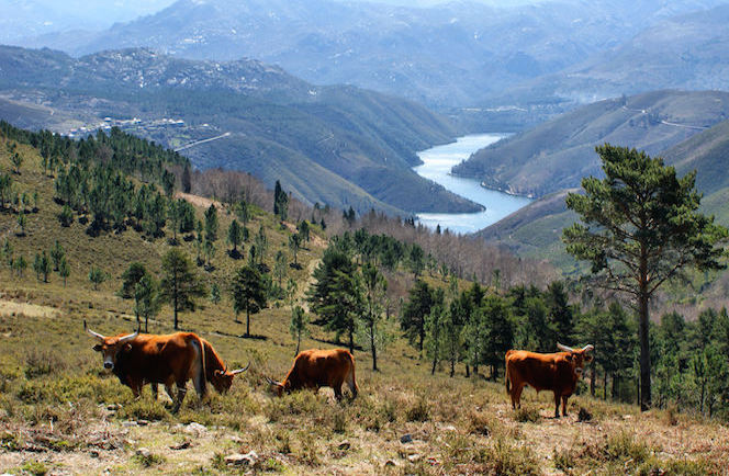 Pousada Fly Drive Noord Midden en Zuid Portugal 8 dagen 25